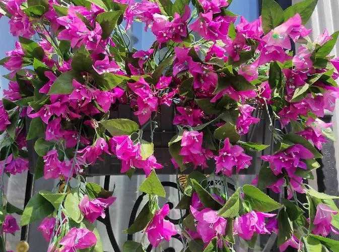 Hotel Hotel Estambul Istambul