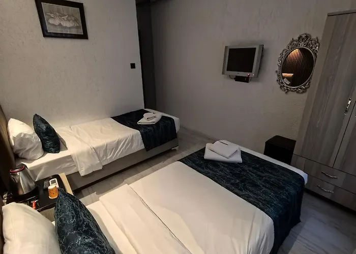 Hotel Hotel Estambul 4*