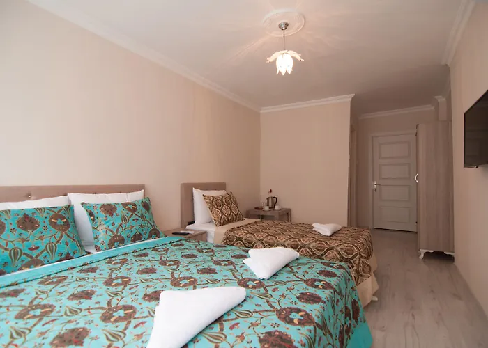 Hotel Hotel Estambul Istambul