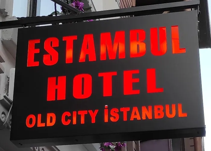 Hotel Hotel Estambul Istambul