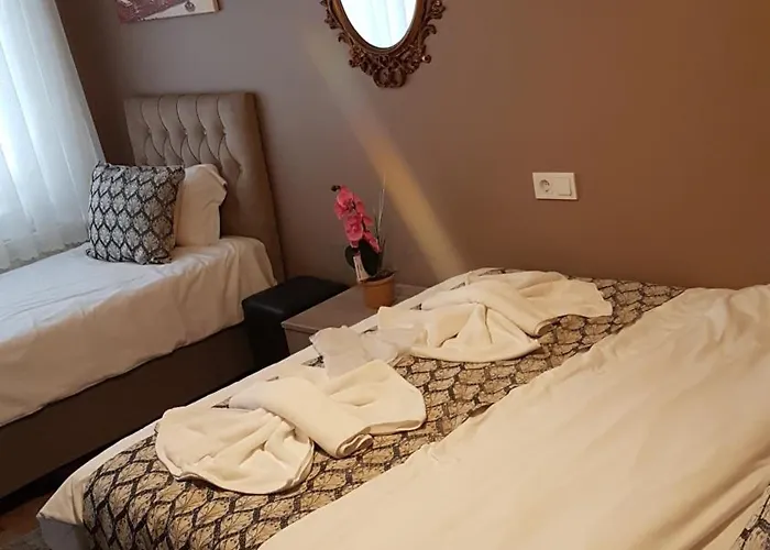 Hotel Estambul 4* Istambul