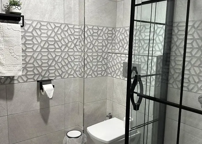 Hotel Estambul 4*