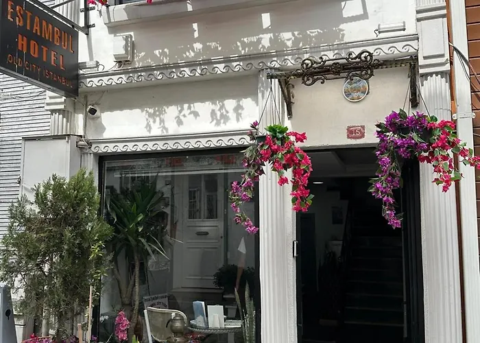 Hotel Estambul Отель