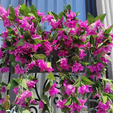 Hotel Hotel Estambul Estambul