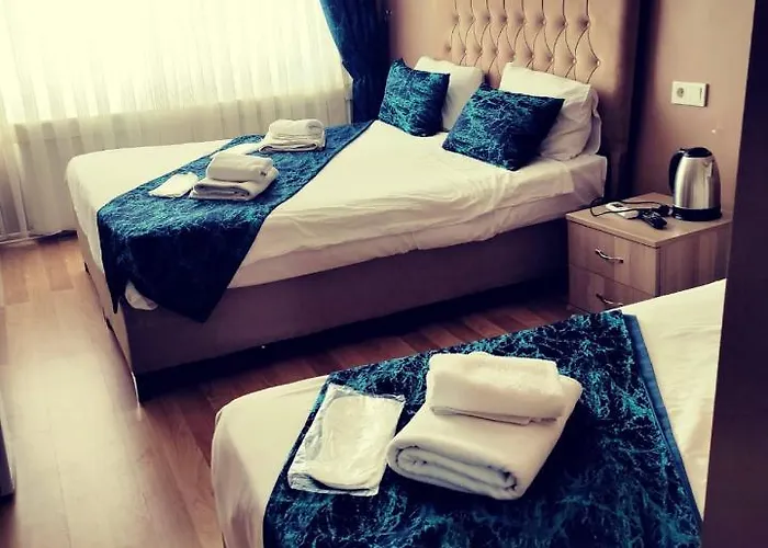 ホテル Hotel Estambul イスタンブール