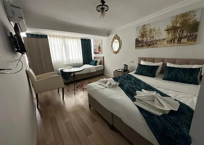 Hotel Estambul ホテル