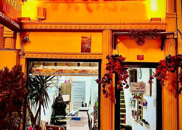 Hotel Estambul ホテル