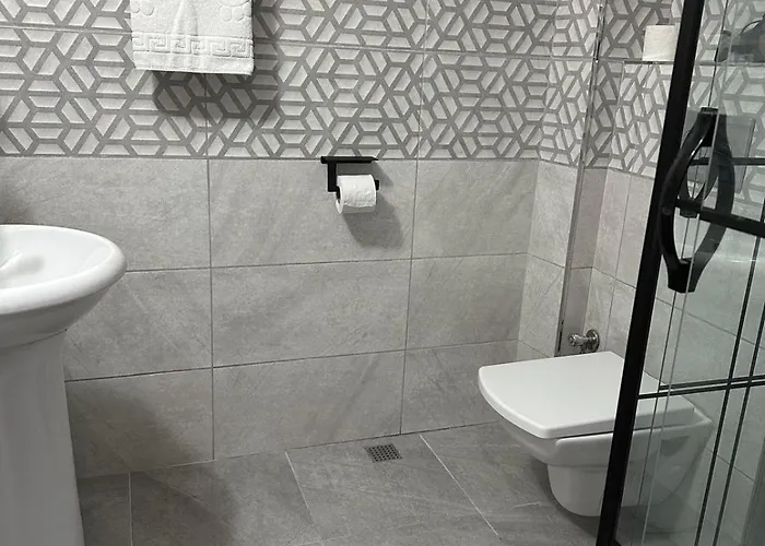 Hotel Estambul ホテル 4*