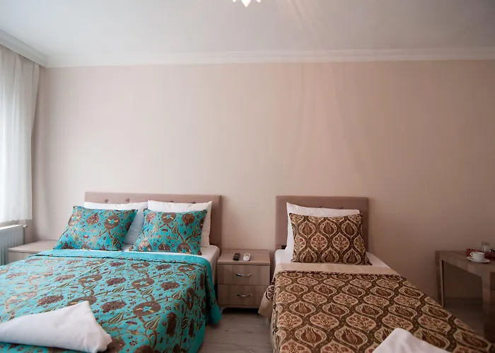 Hotel Estambul ホテル