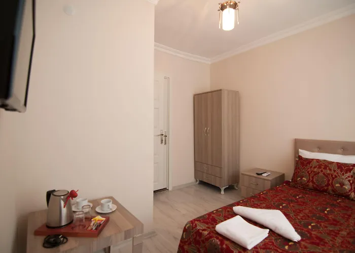 ホテル Hotel Estambul イスタンブール