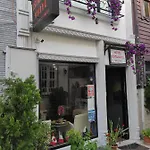 Hotel Hotel Estambul Istanboel